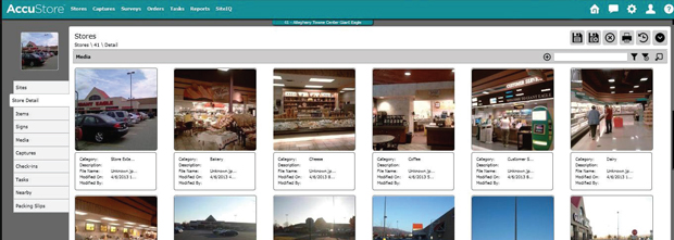 AccuStore Site Surveys